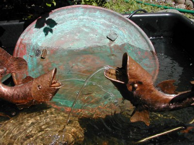Two Copper Fish with Copper circle fountain in water