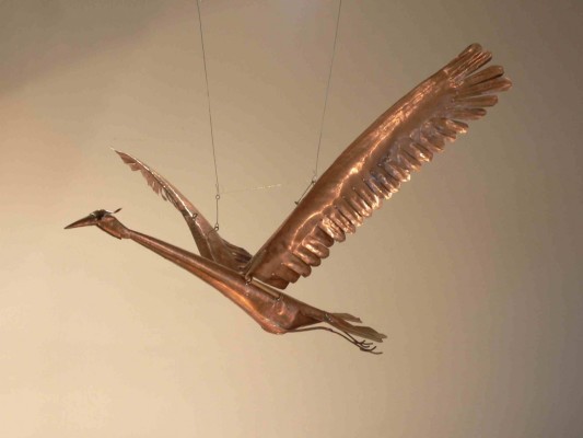 P1010195.jpg stork in flight