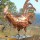 copper rooster sculpture with large tail feathers on pedestal outside in green field in front of water thumbnail
